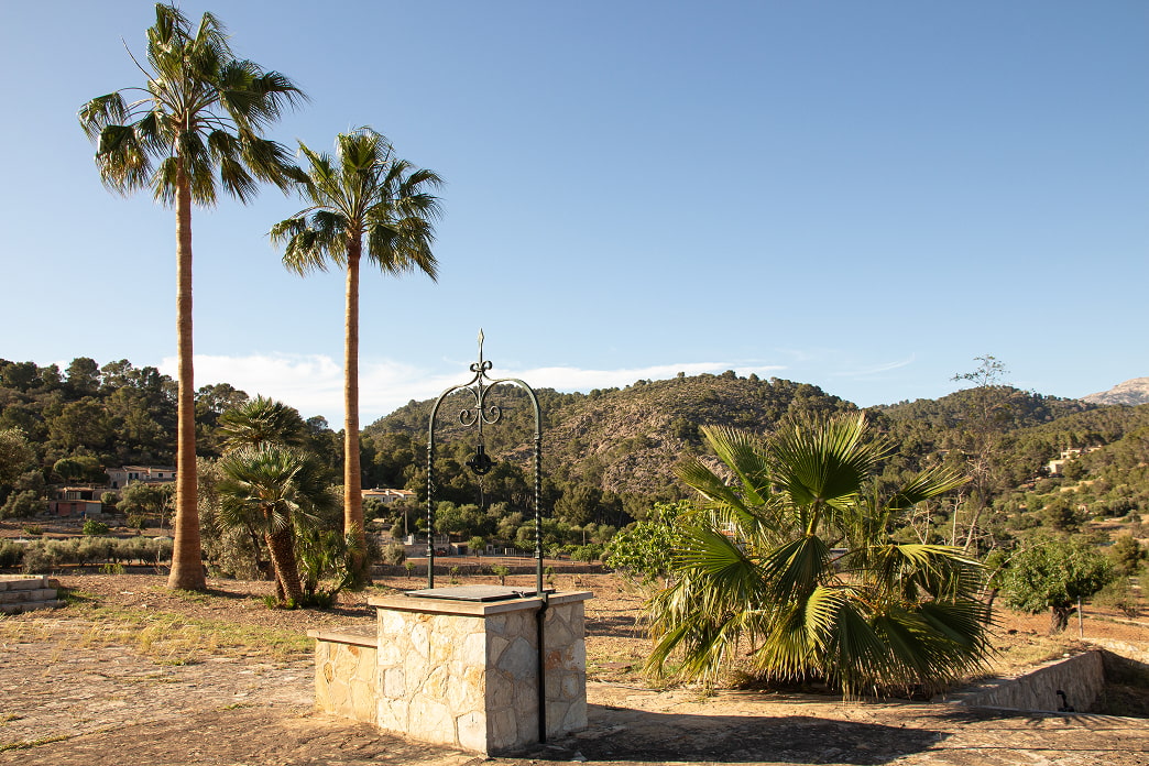 Palm trees and water well of So n'Alegre